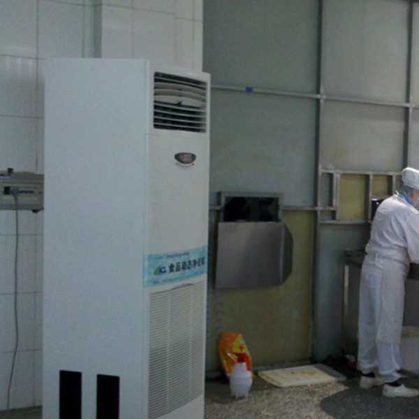 奉节食品正负离子空气杀菌器