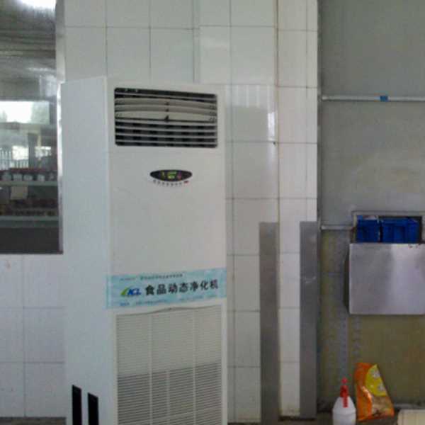 奉节食品智能空气杀菌器